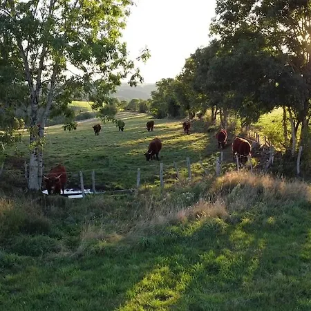 Nature, Calme Et Volupte, Maison Felicie